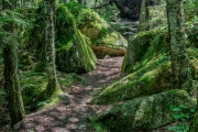 Valley Trail