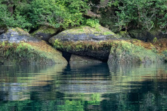 Alaska Inside Passage - Scenics