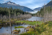 Mendenhall River and Mendenhall Glacier