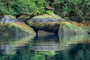 reflections, Baranof Island