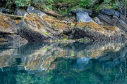 reflections, Baranof Island