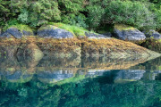 reflections, Baranof Island