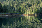 reflections, Baranof Island