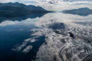 Dall porpoise riding the bow wave