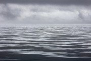 fog, Frederick Sound