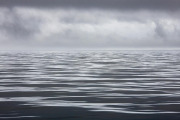 Frederick Sound
