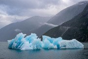 Tracy Arm