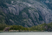 Tracy Arm