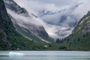 Tracy Arm