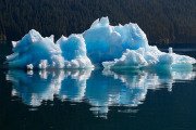 floating ice, Le Conte Bay