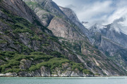 Endicott Arm