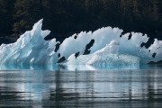 floating ice, Le Conte Bay