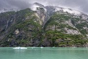 Tracy Arm