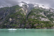 Tracy Arm