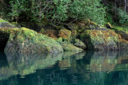 reflections, Baranof Island