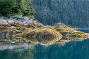 reflections, Baranof Island