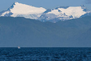 Humpback whale breach with glacier in the background