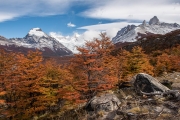 fall colors, El Chalten (Mt Fitzroy in the background)