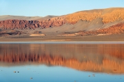 sunrise, Laguna Carachi Pampa