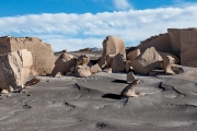 Campo Piedra de Pomez