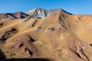 tasso grasses on the altiplano