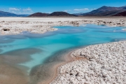 unnamed salar