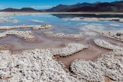 unnamed salar