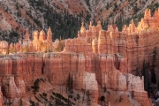 Bryce Canyon
