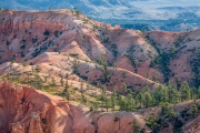 pink sandstone, Bryce canyon