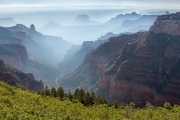 Grand Canyon, North Rim