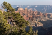 Bright Angel area, Grand Canyon, North Rim