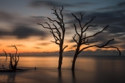 Botany Bay