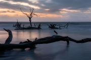 Botany Bay