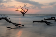 Botany Bay