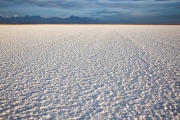 salt, Laguna Tebinquiche