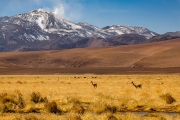 Putana volcano