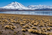 Laguna Miscanti