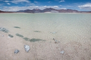 Salar de Talar