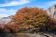 Cerro Castillo National Park