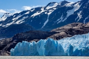 Grey Glacier