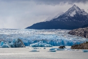 Grey Glacier