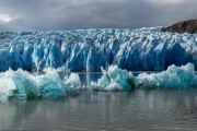 Grey Glacier