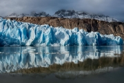 Grey Glacier