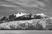 Grey Glacier