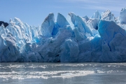Grey Glacier
