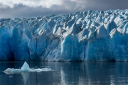 Grey Glacier