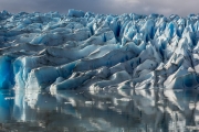 Grey Glacier