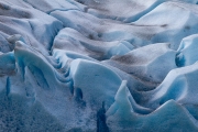 Grey Glacier