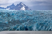 Grey Glacier
