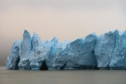 fog, Grey Glacier